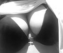 Xx, foto 900x756, 35 reacties, 136 stemmen