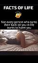 Yep, foto 526x854, 2 reacties, 9 stemmen