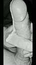 Zaad, zaad en nog eens zaad, film 00:00:00, 3 reacties, 6 stemmen