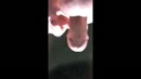 Zaad., film 00:00:00, 14 reacties, 28 stemmen