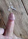 Zaad verspilling, foto 358x501, 4 reacties, 12 stemmen