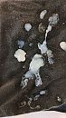 Zaad, foto 2250x4000, 5 reacties, 8 stemmen