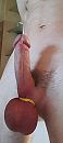 Zaadpik, foto 1472x3264, 4 reacties, 6 stemmen