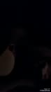 Zalig toch., film 00:00:15, 10 reacties, 71 stemmen