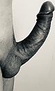 Zilv’ren lid, foto 1113x1817, 5 reacties, 22 stemmen