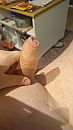 Zin gekregen, foto 2160x3840, 0 reacties, 5 stemmen