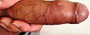 Zin in..., foto 1670x656, 9 reacties, 27 stemmen