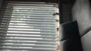 Zit ik net op de bank, film 00:00:07, 2 reacties, 3 stemmen