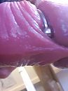 Zit lekker., foto 2208x2944, 13 reacties, 19 stemmen