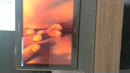Zo geil vandaag, film 00:00:21, 2 reacties, 5 stemmen