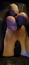 Zo lekker anal. Stimulation., foto 1801x4000, 0 reacties, 3 stemmen