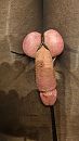 Zo mooi., foto 2250x4000, 2 reacties, 6 stemmen