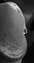 Zo..., foto 2213x4000, 1 reacties, 7 stemmen