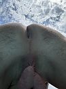 Zoekt vulling, foto 2316x3088, 3 reacties, 7 stemmen