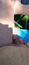 Zon, foto 1803x4000, 3 reacties, 11 stemmen