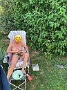 Zon, foto 1725x2301, 25 reacties, 67 stemmen