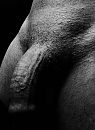Zwart-wit penis, foto 1280x1749, 3 reacties, 7 stemmen