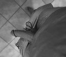 Zwart/Wit., foto 1498x1302, 0 reacties, 7 stemmen