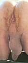 .., foto 1800x4000, 4 reacties, 13 stemmen