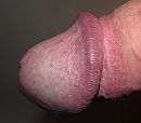 ., foto 2093x1842, 0 reacties, 1 stemmen