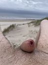 ., foto 3000x4000, 1 reacties, 8 stemmen