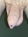 ., foto 2436x3248, 1 reacties, 7 stemmen