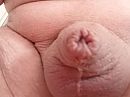 ..., foto 4000x3000, 2 reacties, 8 stemmen