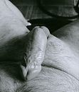 ....., foto 1076x1256, 2 reacties, 13 stemmen