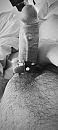 ..., foto 1800x4000, 1 reacties, 3 stemmen