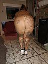 ., foto 1500x2000, 6 reacties, 28 stemmen