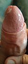 ., foto 1800x4000, 2 reacties, 4 stemmen
