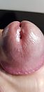 ., foto 1944x4000, 1 reacties, 5 stemmen