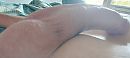 ..., foto 3264x1472, 2 reacties, 13 stemmen