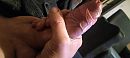 ., foto 4000x1800, 0 reacties, 6 stemmen