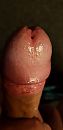 ., foto 1944x4000, 1 reacties, 2 stemmen