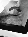 ..., foto 1262x1642, 1 reacties, 10 stemmen