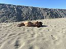 ., foto 4000x3000, 17 reacties, 101 stemmen