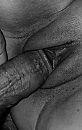 ..., foto 2382x3728, 8 reacties, 29 stemmen