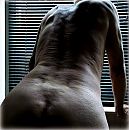 aan de achterkant, foto 1067x1067, 1 reacties, 1 stemmen