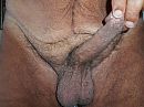 always ready, foto 2272x1704, 1 reacties, 3 stemmen