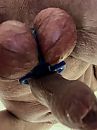 ballen, foto 2316x3088, 13 reacties, 25 stemmen