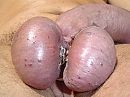 balss, foto 640x480, 2 reacties, 5 stemmen