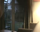 beetje showen, film 00:00:00, 8 reacties, 31 stemmen