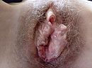 behaard, foto 1600x1200, 24 reacties, 76 stemmen