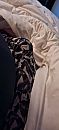 bulge, foto 1847x4000, 2 reacties, 5 stemmen