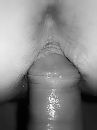 de penetratie, foto 3000x4000, 0 reacties, 5 stemmen