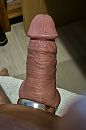 de ring, foto 1362x2046, 14 reacties, 28 stemmen