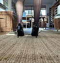 deze?, foto 2316x2424, 6 reacties, 21 stemmen