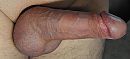 dik en stjjf, foto 2062x946, 3 reacties, 9 stemmen