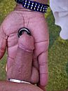 een lekkere pik in de hand, foto 1500x2000, 5 reacties, 27 stemmen